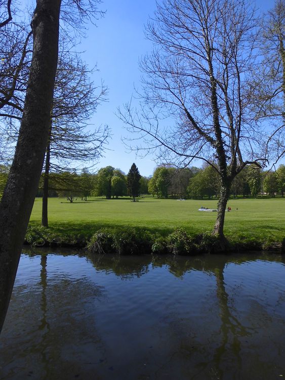 Le domaine de Chamarande