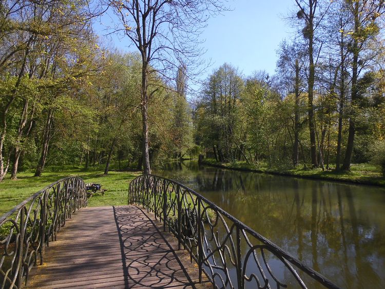 Le domaine de Chamarande