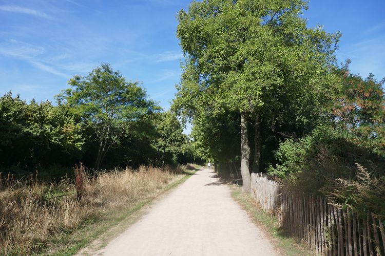 Le Parc Des Chanteraines