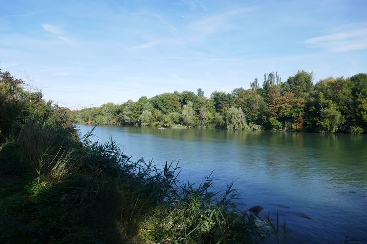 Le Parc Des Chanteraines