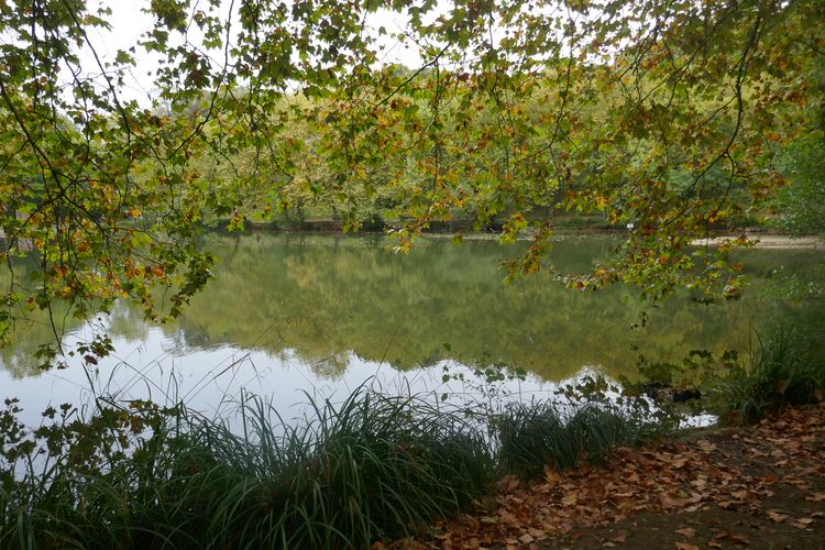 Forêt de Meudon - Balade des 3 Etangs