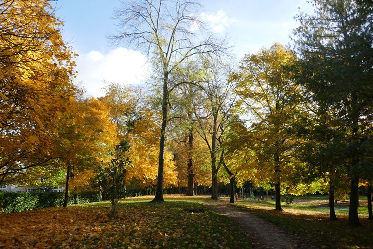 Parc de l'Ile Saint Germain