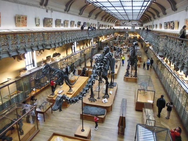 Galerie de Paléontologie et d’Anatomie Comparée