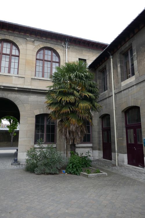 Musée Fragonard - Ecole Vétérinaire de Maisons-Alfort