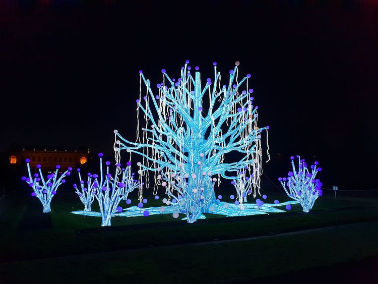 Espèces en Voie d'Illumination au Jardin des Plantes - Paris