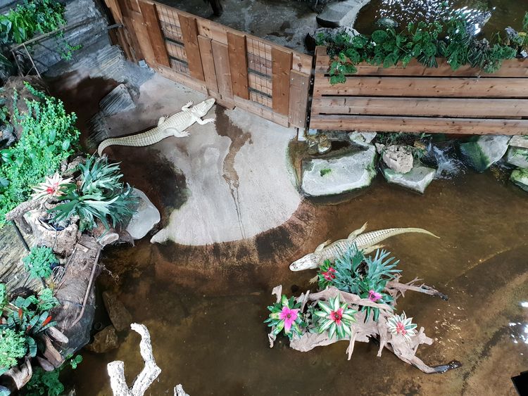 Aquarium Tropical de la Porte Dorée - Paris
