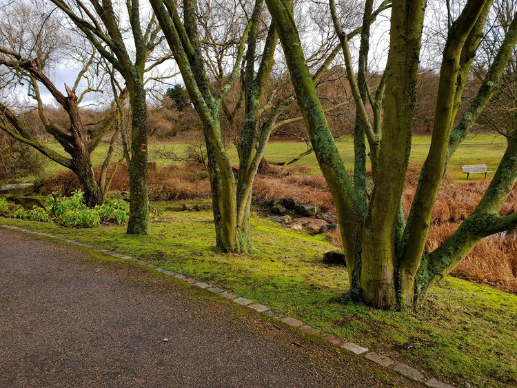 Parc Georges Valbon - La Courneuve