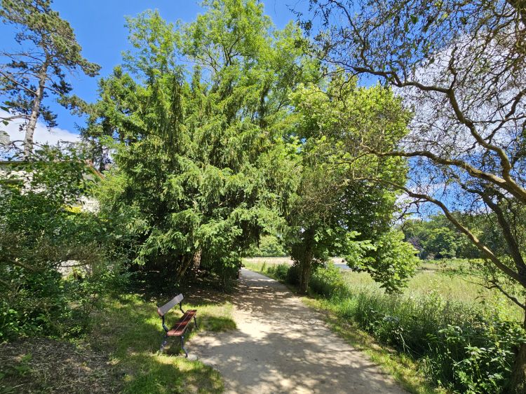 Les Étangs de Corot - Ville d'Avray