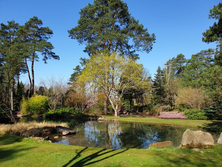 Arboretum des Grandes Bruyères - Ingrannes