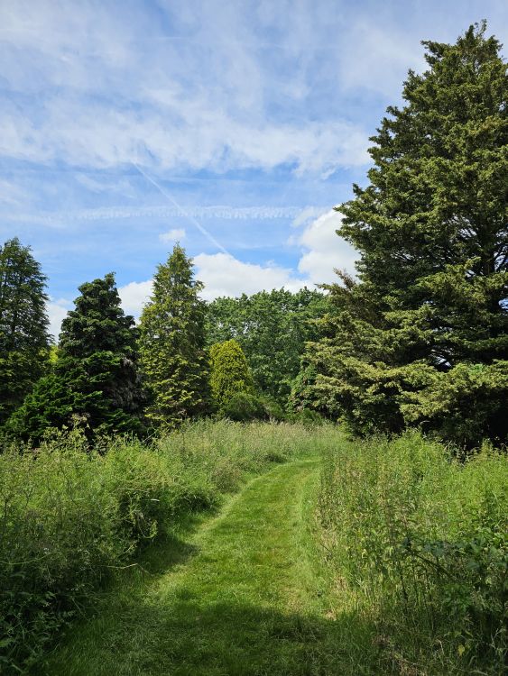 Arboretum de Chèvreloup - Versailles
