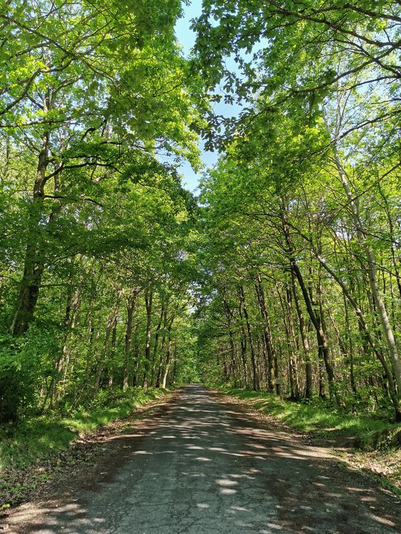 foret de verrieres rencontre