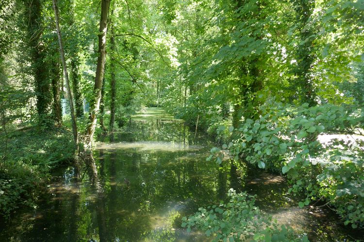 Parc de Grouchy - Osny