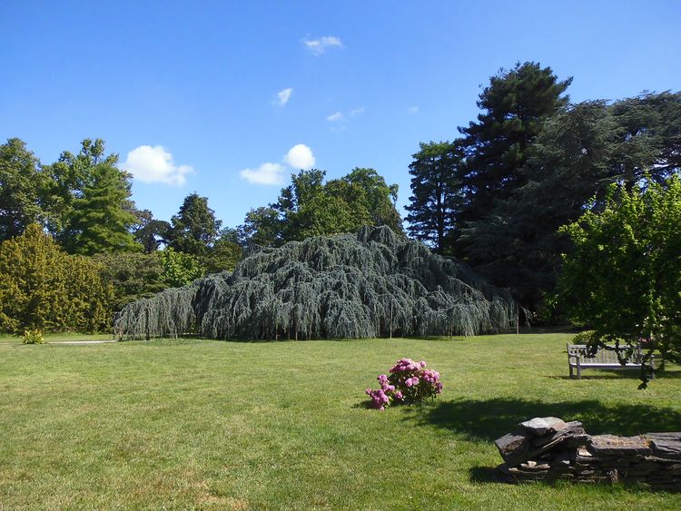 Arboretum de la Vallée aux Loups