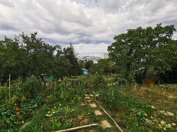 Jardin Botanique - Issy-les-Moulineaux