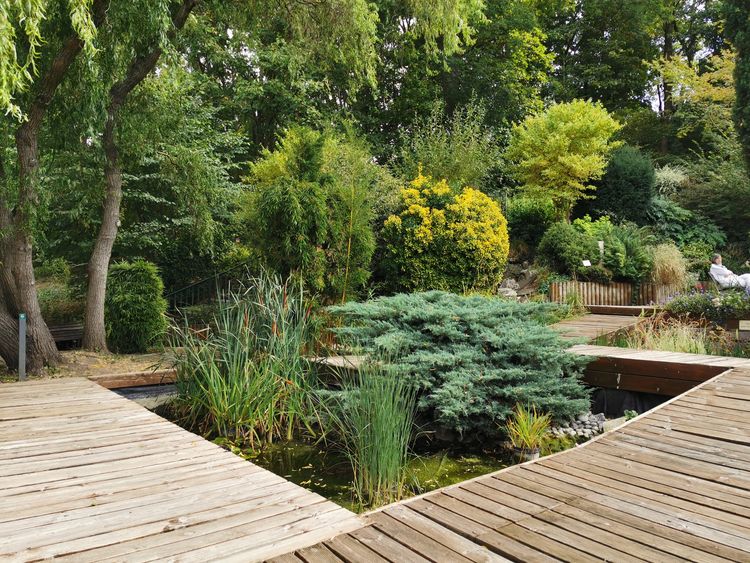 Jardin Botanique - Issy-les-Moulineaux