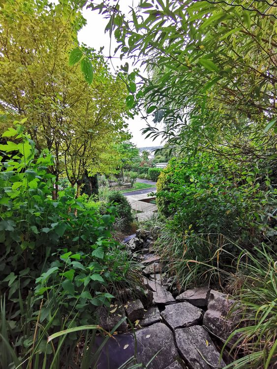 Jardin Botanique - Issy-les-Moulineaux