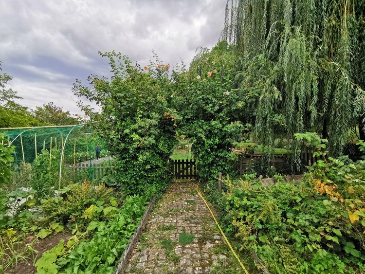 Jardin Botanique - Issy-les-Moulineaux