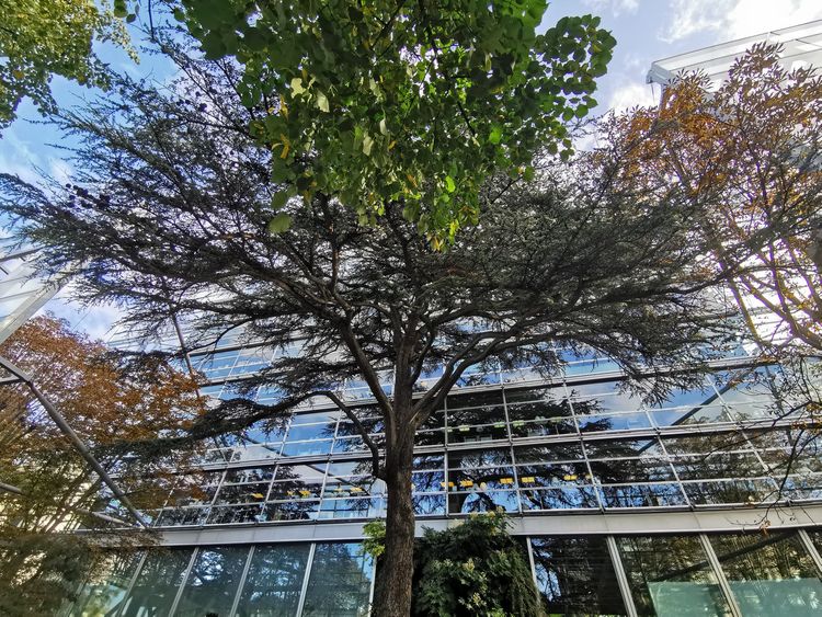 Fondation Cartier - Paris