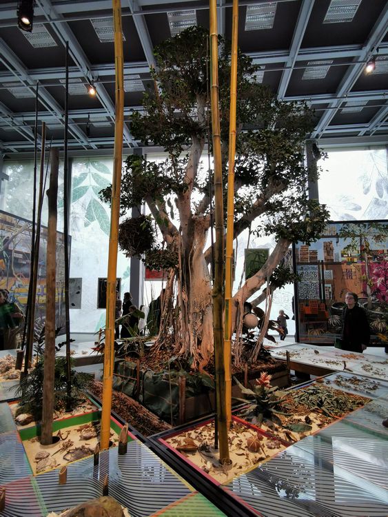 Fondation Cartier - Paris