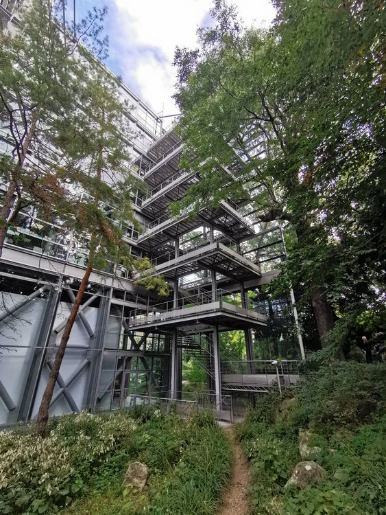 Fondation Cartier - Paris