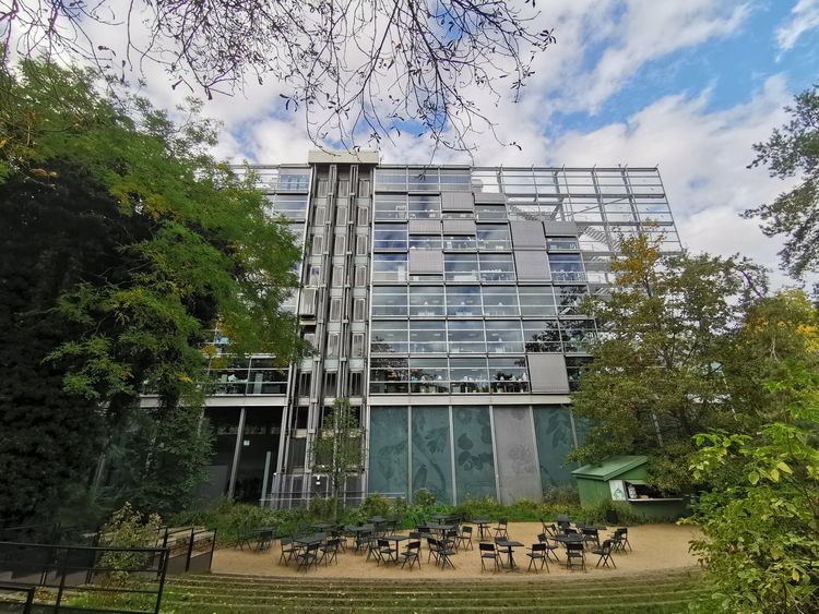 Fondation Cartier - Paris