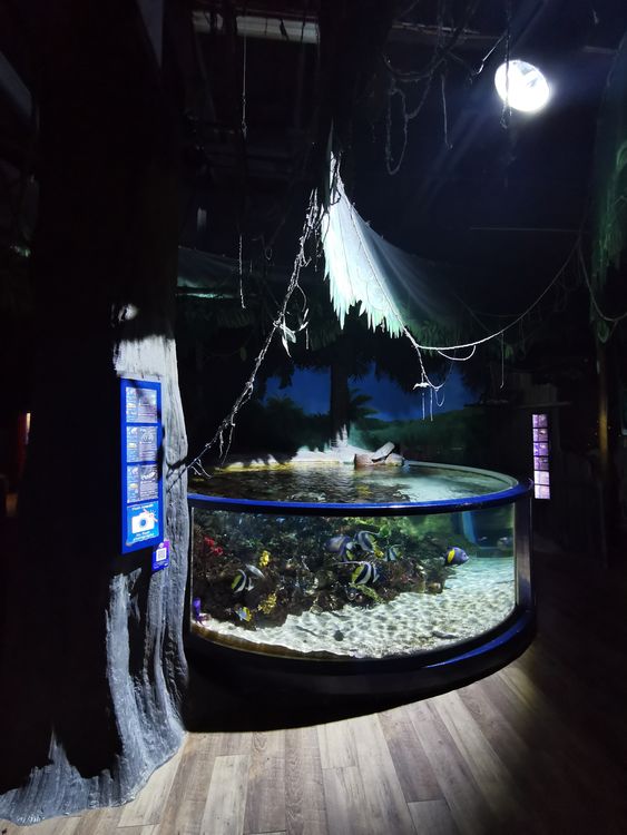 Sealife Paris Val d'Europe