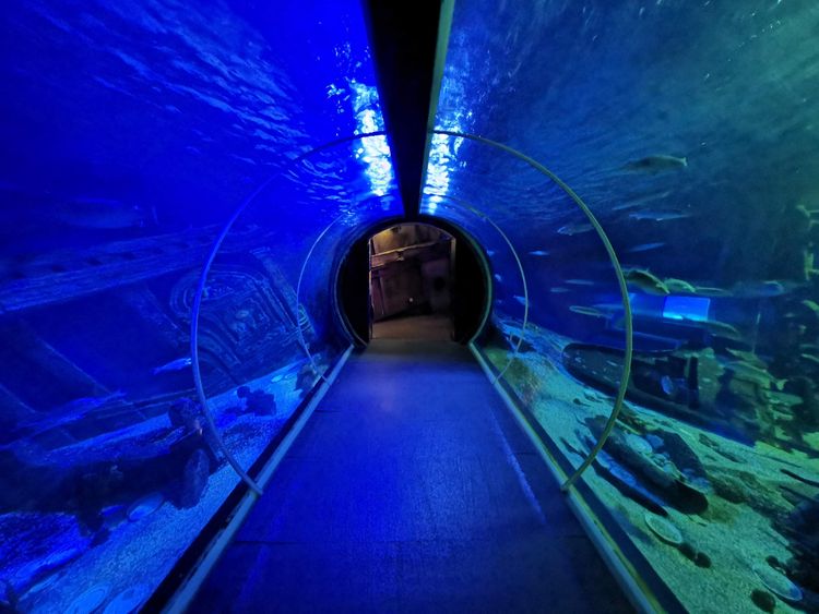 Sealife Paris Val d'Europe