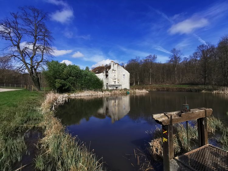 Château de la Chasse - Forêt de Montmorency
