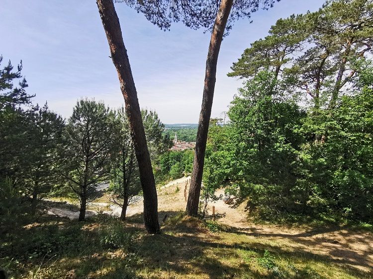 Sablière de Ferté Alais