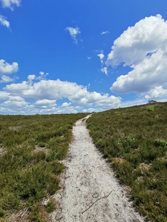 Sentier des 4 Dragons - Rochefort en Yvelines