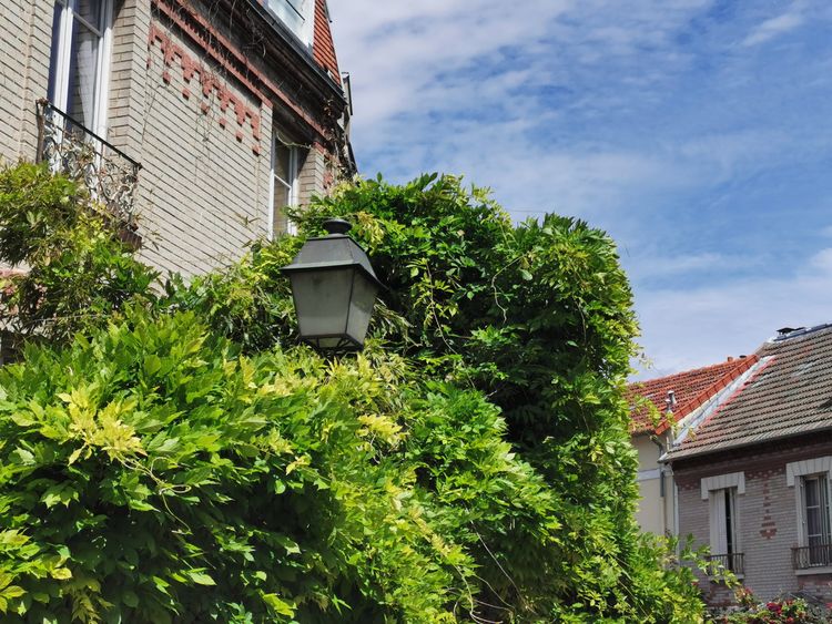 La Campagne à Paris
