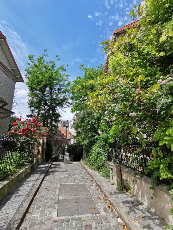 La Campagne à Paris