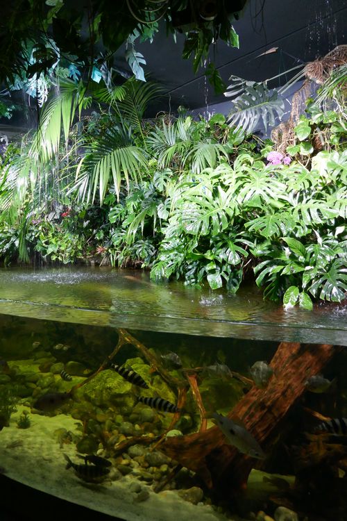 Aquarium de Paris