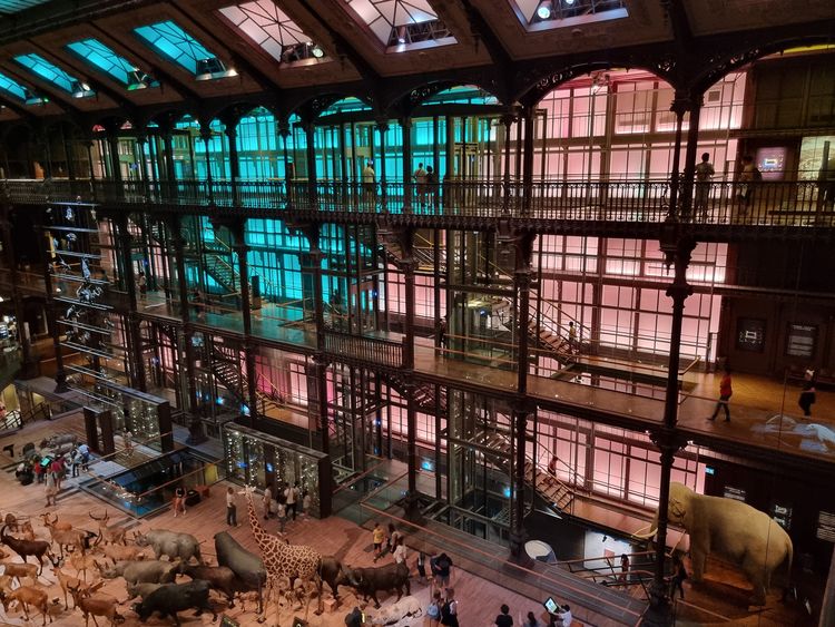 Grande Galerie de l’Évolution - Paris