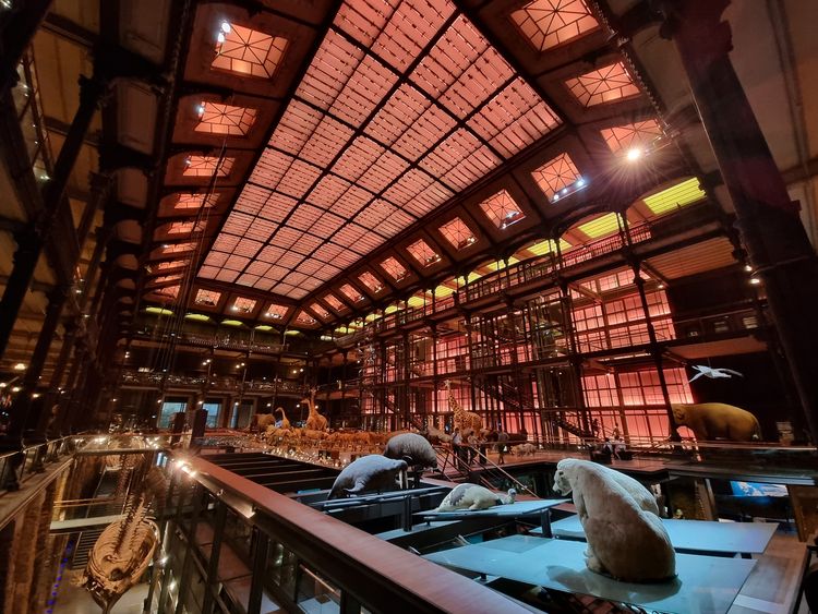 Grande Galerie de l’Évolution - Paris