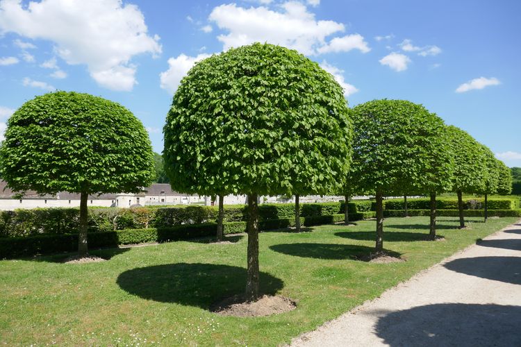 Domaine de Villarceaux - Chaussy