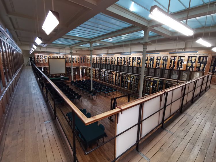 Musée des Moulages - Paris