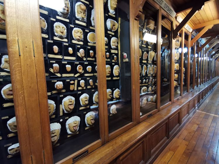 Musée des Moulages - Paris