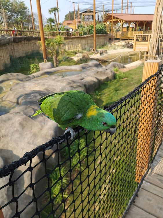 Parrot World - Crécy-la-chapelle