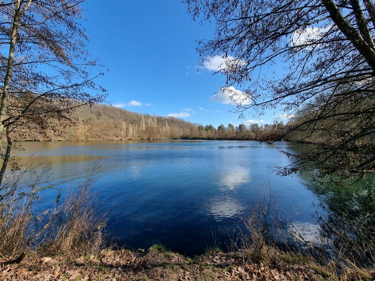 Etangs de la Minière - Guyancourt