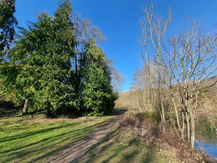 Etangs de la Minière - Guyancourt