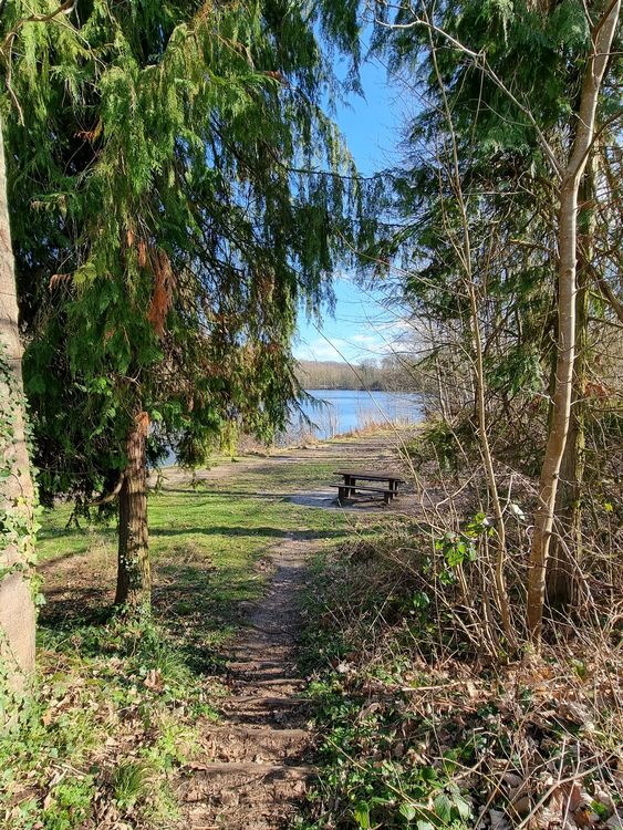 Etangs de la Minière - Guyancourt