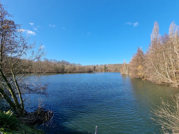 Etangs de la Minière - Guyancourt