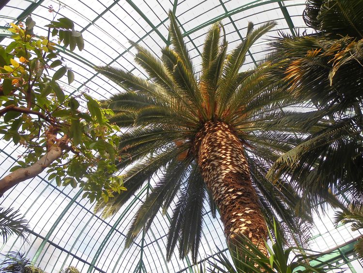 Jardin des Serres d'Auteuil