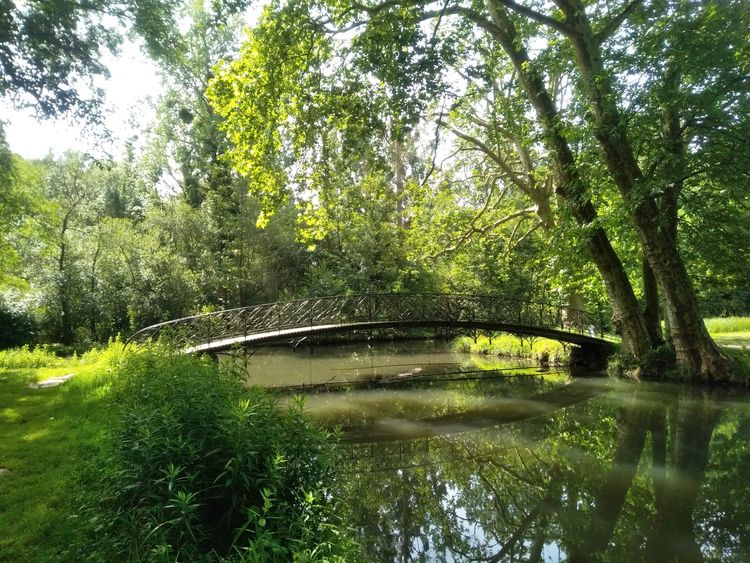 Le domaine de Chamarande