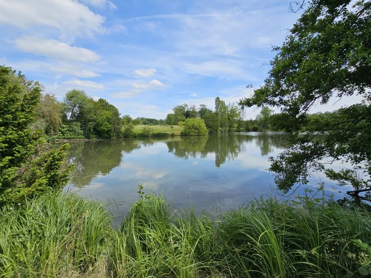 Arboretum de Chèvreloup - Versailles